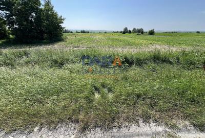 Teren de 9969 mp, în Filipești - 1