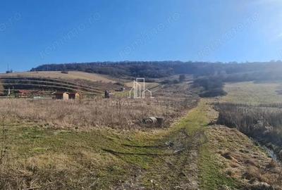 Teren 1000 Mp Intravilan De Vanzare, Langa Lac, Ivanesti - 1
