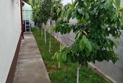 Casă individuală cu 5 camere cu Canalizare în Afumați - 1