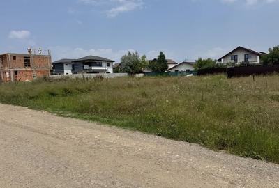 Teren de 548 mp, în Berceni - 3