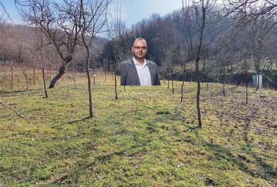 Teren de 1800 mp, în Ciclova Română - 12