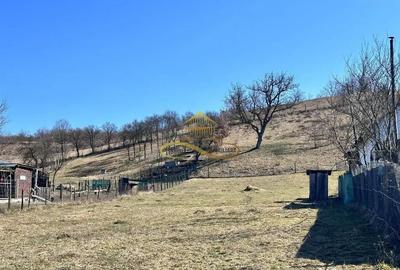 Teren de 3279 mp, în Luncani