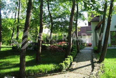 Casă cu 7 camere cu Teren 4000 Mp în Câmpului - 2