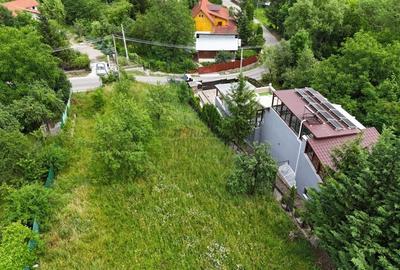 Breaza de Sus - Gura Beliei - teren cu vedere spre munte - 10