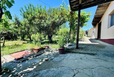 Casa cu Toate Utilitatile,Vedere Panoramica,Livada-Stefanesti, Arges - 29