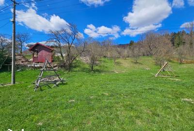 Teren de 2000 mp, în Valea Doftanei - 6
