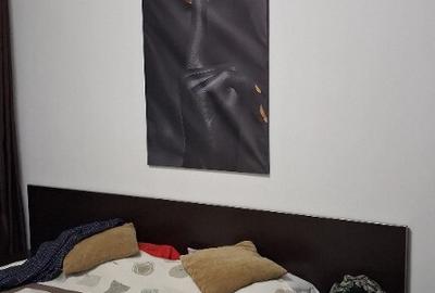 Apartament cu 2 camere decomandat în Drumul Taberei