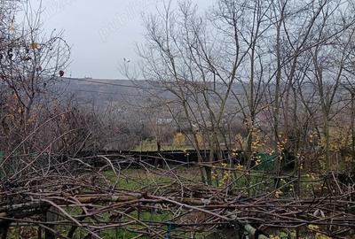 Vand casa Perieni - 4