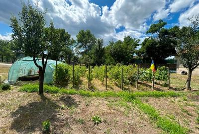 Teren intravilan 1089 m² - Aldeni - 15km de Buzău. Poziție ideală - 7