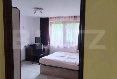 Casa in Teaca cu 4 camere si 10 ari de teren - 11