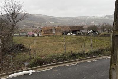 Spațiu comercial, în Păuca - 12