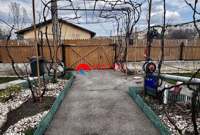 Casă cu 3 camere decomandat cu Teren 481 Mp în Cuza - 20