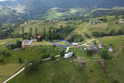 Oportunitate Investitie | Teren Pestera | 2.090mp | Utilitati Gaz/Curent | PUZ - 6