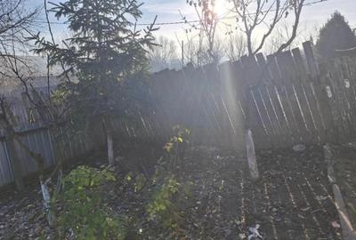 Casă individuală cu 3 camere cu Teren 1900 Mp în Central - 5