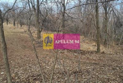 Teren intravilan de vanzare in Cornu de Jos - 4