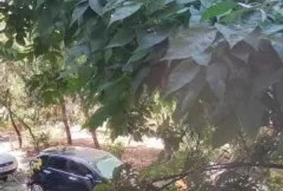 Apartament cu 3 camere decomandat în Colentina - 9