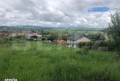 Teren de 10656 mp, în Bod - 4
