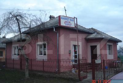 Casă cu 2 camere cu Teren 5600 Mp în Central - 14