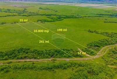 Teren agricol extravilan de 10800 mp, în Vest - 3