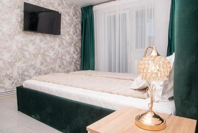 Apartament cu 2 camere semidecomandat în Lugoj - 5