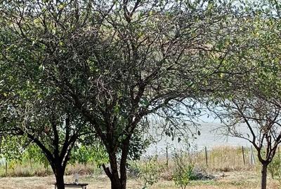 Casă cu 2 camere în Câmpenești - 2