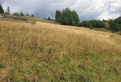 Teren de 60000 mp, în Vadu Moților - 7