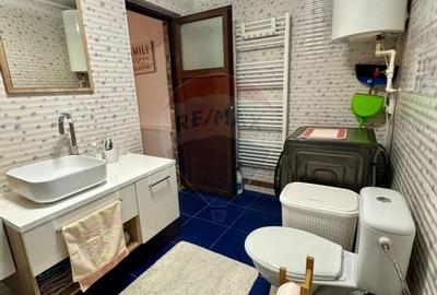 Casa / Vila cu 6 camere de vanzare in zona Ultracentral - 30