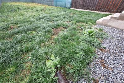 Casa individuala, 5 camere, teren 500 mp, zona centrala Gilau - 4