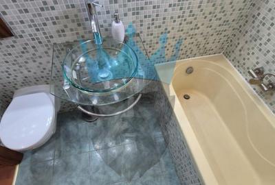 Apartament cu 3 camere decomandat în Iancului - 3