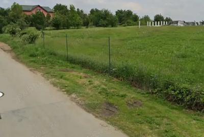 Teren de 4000 mp, în Dragomirești-Vale - 3