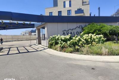 Garsonieră decomandată în Pipera - 10