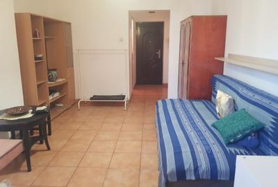 Inchiriere garsoniera metrou Dristor, etaj intermediar, 270 euro - 4