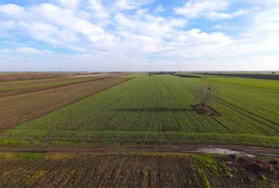 Teren Investitional 1,24 ha Com Berceni | deschidere 42ml | #CG28 - 1