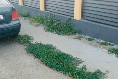 Casa de vinzare Zimbru Casa de vinzare Zimbru - 8