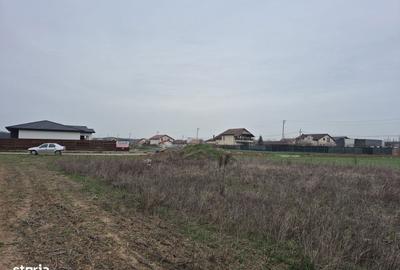 Spațiu comercial, în Balotești - 5