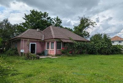 Casă cu 5 camere în Pomi - 1