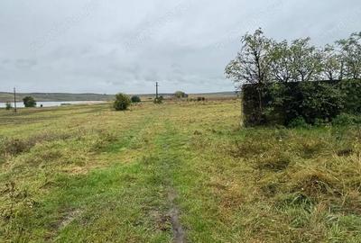 Teren de 10000 mp, în Moara - 4