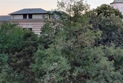 Vanzare apartament 3 camere Renovat Unirii-Splai - 3