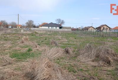 Teren Construcții intravilan de 798 mp, în Peciu Nou - 7