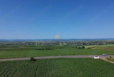 Teren de 36977 mp, în Central - 14