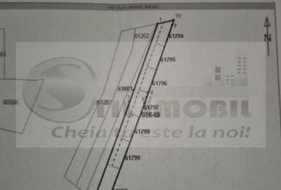 TEREN TOMESTI 35 EURO MP NEGOCIABIL - 3