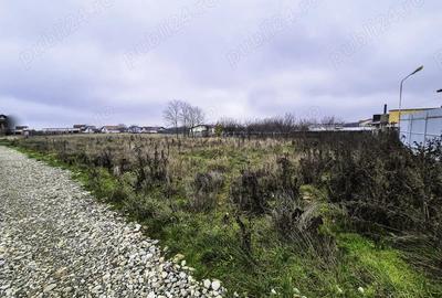 Teren intravilan Smeura Arges - 1