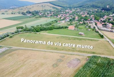 Teren Intravilan 1000 mp Bicfalau Teren Intravilan 1000 mp Bicfalau - 1