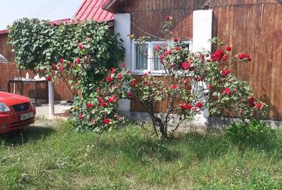 Casa + terenuri in jud. Arges - 1