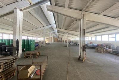 Spațiu industrial, 1200 mp în Gheorghe Doja
