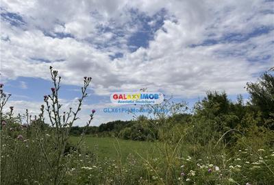 Teren 60000 mp, in Plopu, la 10 km de Ploiesti - 14