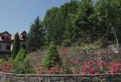 Vila de vanzare in Campina - Lunca Mare, teren 16500 MP - 3