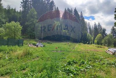 Teren in Bucovina, intravilan 3824 mp Deia-Frumosu, Suceava - 2