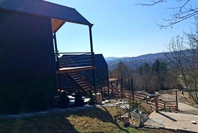 Casă cu 3 camere în Nistorești - 1