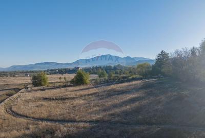 Teren Construcții intravilan de 4000 mp, în Bran - 3